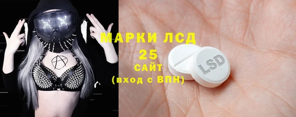 ПСИЛОЦИБИНОВЫЕ ГРИБЫ Новодвинск