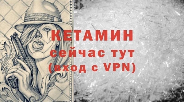 прущие грибы Новокубанск