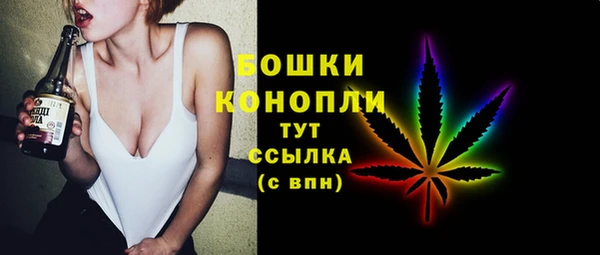 первитин Новозыбков