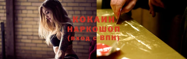прущие грибы Новокубанск
