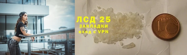 прущие грибы Новокубанск