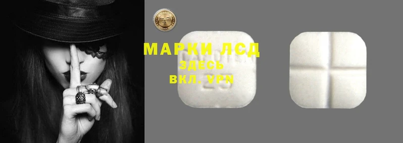 ПСИЛОЦИБИНОВЫЕ ГРИБЫ Новодвинск