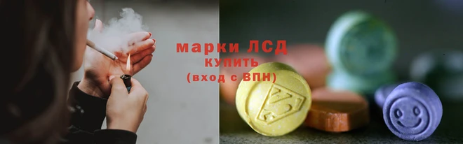 прущие грибы Новокубанск