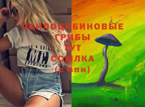 молекула духа Балахна