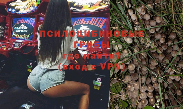 ПСИЛОЦИБИНОВЫЕ ГРИБЫ Новодвинск