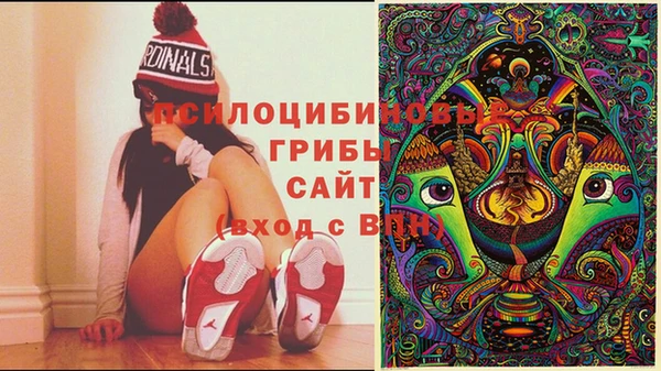 ПСИЛОЦИБИНОВЫЕ ГРИБЫ Новодвинск