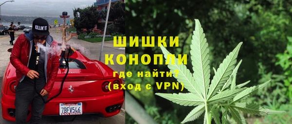 ПСИЛОЦИБИНОВЫЕ ГРИБЫ Новодвинск