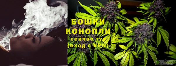 ПСИЛОЦИБИНОВЫЕ ГРИБЫ Новодвинск
