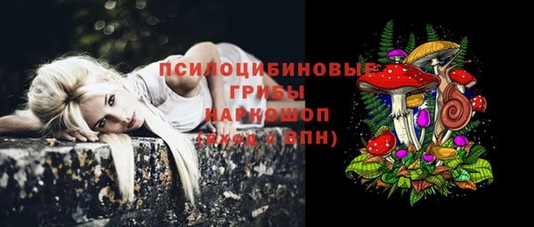 первитин Новозыбков