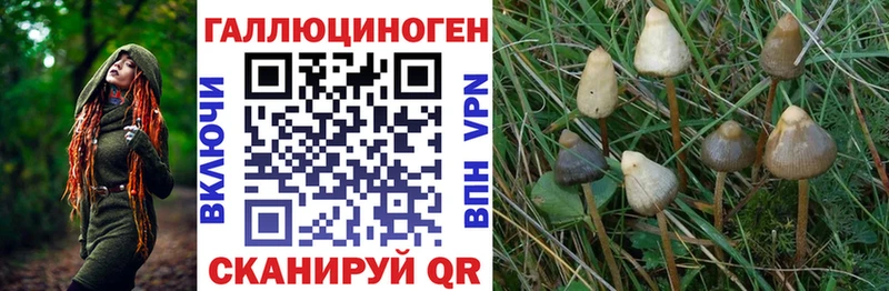 мориарти какой сайт Уссурийск Галлюциногенные грибы MAGIC MUSHROOMS наркота гидра зеркало
