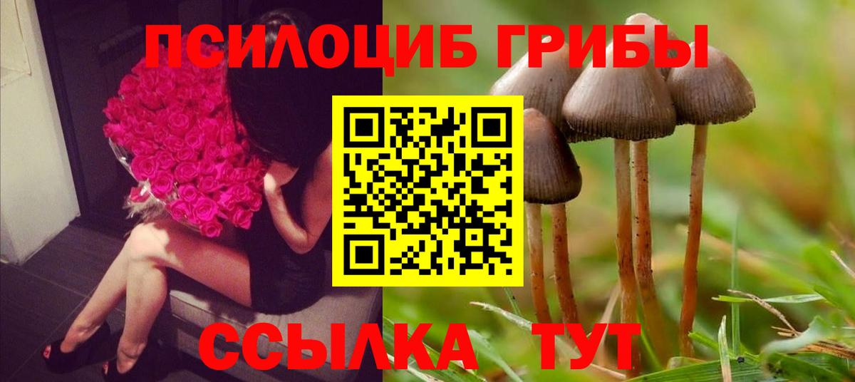 Псилоцибиновые грибы прущие грибы Уссурийск
