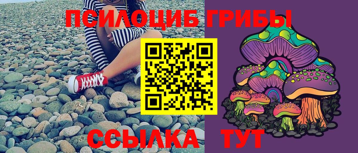 Галлюциногенные грибы мухоморы Уссурийск