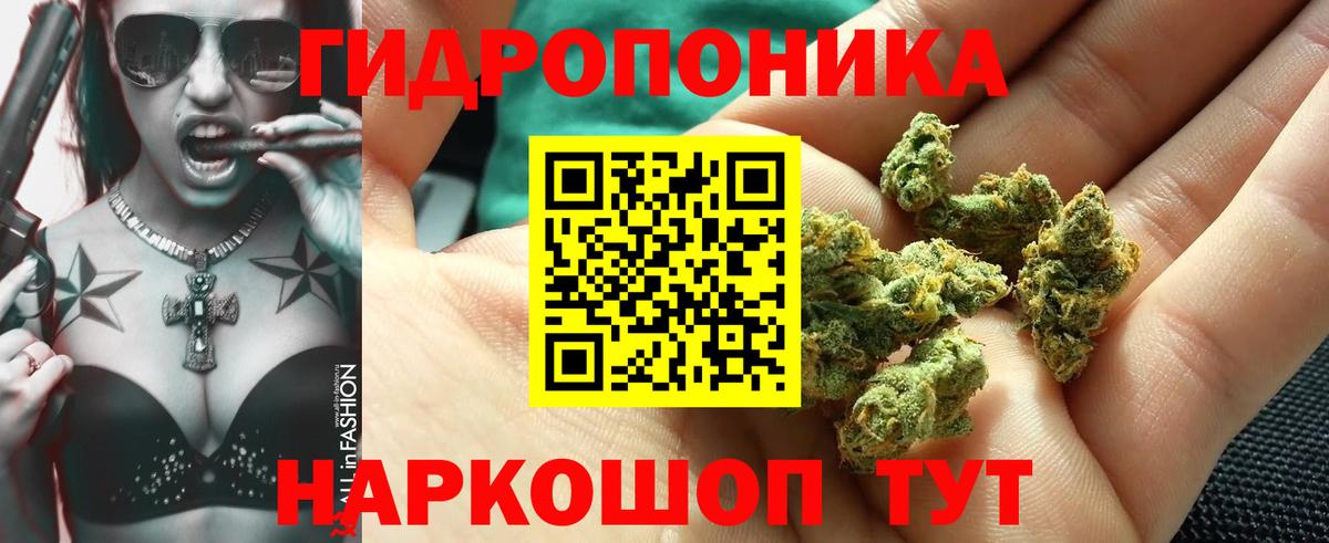 Бошки Шишки AK-47 Уссурийск